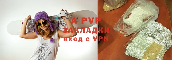 прущие крисы Белокуриха