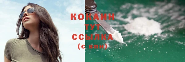 ПСИЛОЦИБИНОВЫЕ ГРИБЫ Белоозёрский