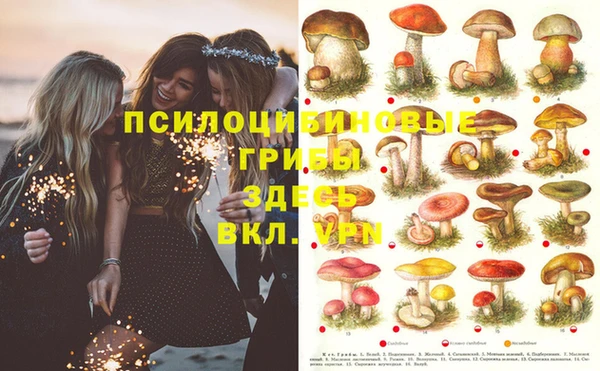 прущие крисы Белокуриха
