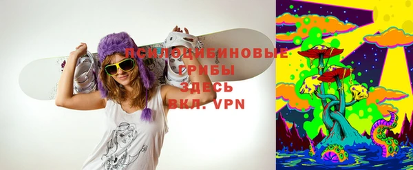 прущие крисы Белокуриха