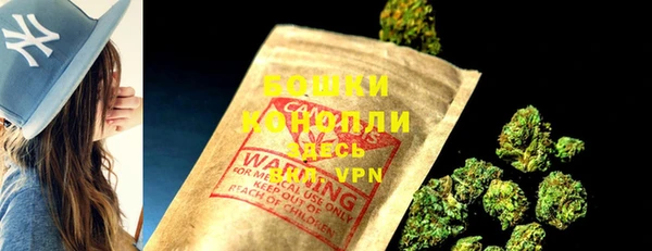 ПСИЛОЦИБИНОВЫЕ ГРИБЫ Белоозёрский