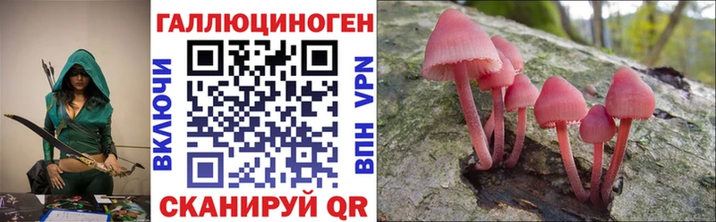 Псилоцибиновые грибы Psilocybine cubensis  Барнаул 
